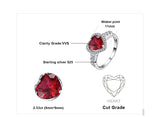 Ruby Heart Jewelry Set